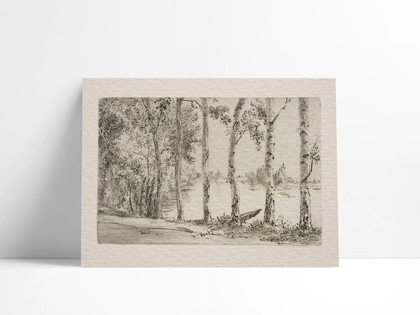 "Birch Trees" Art Print 11x14