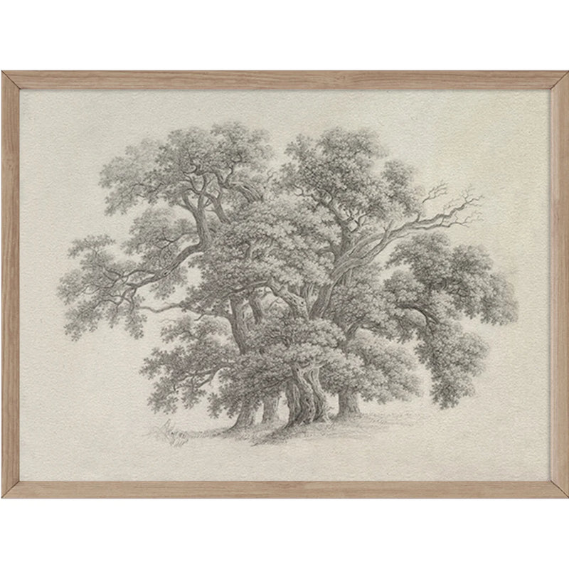 "Oak Tree" Art Print 11x14