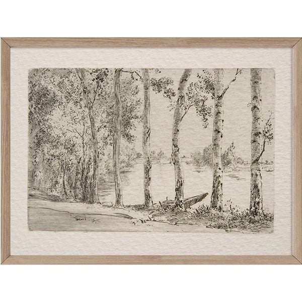 "Birch Trees" Art Print 11x14