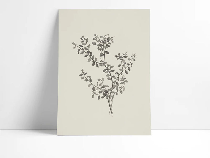 "Branch" Art Print 16x20