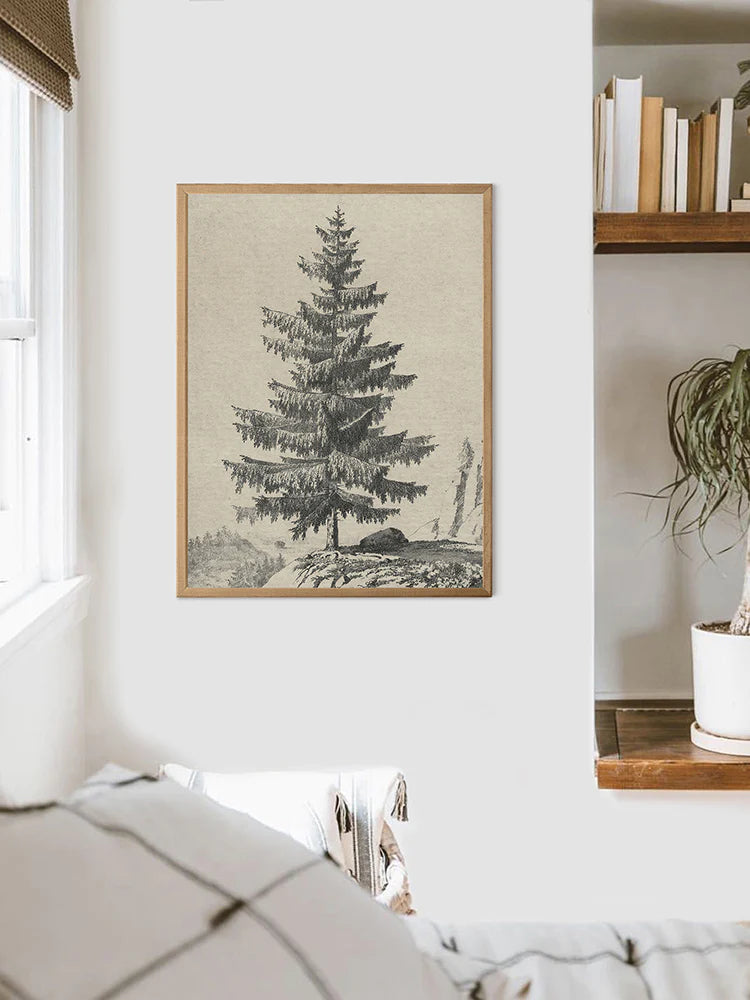 "Pine Sketch" Art Print 16x20